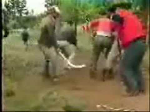 Imagen de previsualización de YouTube