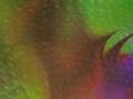 Mystical Vibrations