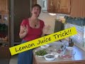 RV Cooking Show - Port Aransas, TX and Sensational Shrimp RV Cooking Show - Port Aransas, TX and Sensational Shrimp