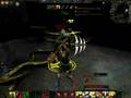 Age of Conan AoC Beta LEAK - Bear Shaman 3