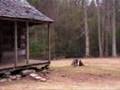 Saving History: Episode 4 - Cades Cove Park