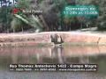 CURITIBA-PR: UM PASSEIO PELA COL�NIA/POL�NIA