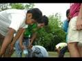 CAMPAMENTO GRUPO EMMANUEL IJMM