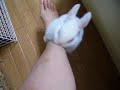 ????????2008/06/16 ????????2008/06/16