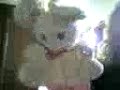 the doudou en action !! mdr the doudou en action !! mdr