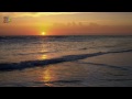CHRIS REA - ON THE BEACH - HD