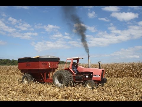 Allis - Allis-Chalmers 7060 Tractor with ROPS.