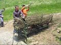 biomasa
