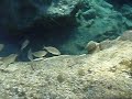 Underwater in Crete