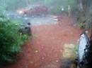 Hail on Gumbo Limbo