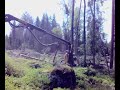 ponsse bear ponsse bear