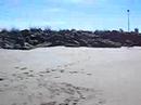 Sunday At The Beach 2