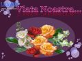 Viata Noastra-Nina