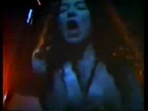 The Shakers - "Mystery Gift"