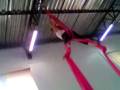 videos de Gabizinha no tecido.