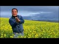 Diosdado Gaitan Castro - Triste Desengaño