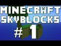 Minecraft - Skyblock 2.1 Let's Play - Back On The Damn Island Again