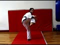 How to Do Beginner Kicks in Soo Bahk Do : Doing a Side Step Side Kick in Soo Bahk Do