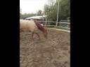 Shy!  Je bent me Alles!.wmv