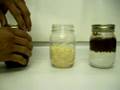 Oil Sorbent