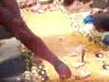 kishor frm ayyappa