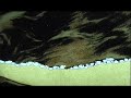 Sand & Oil In Time-lapse.