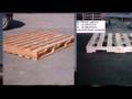 FALANGA PALLETS SRL -