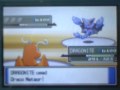 Pokemon Platinum Wifi Battle vs Blisseychan; reececups100's Tournament
