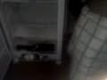 Assalto a geladeira