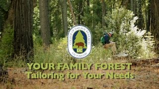 Your Family Forest