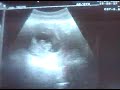 Decepticon's First Video