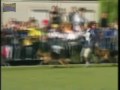 Sultan von der Jahnhöhe.MP4