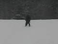 Preston's ski lesson