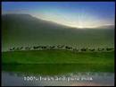 Happy Cows: Vinamilk 100% fresh milk
