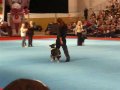 cvt_P1030243.avi