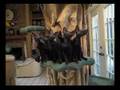 Kitty Dance