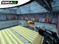 ESEA - Instructor Series - Lethal