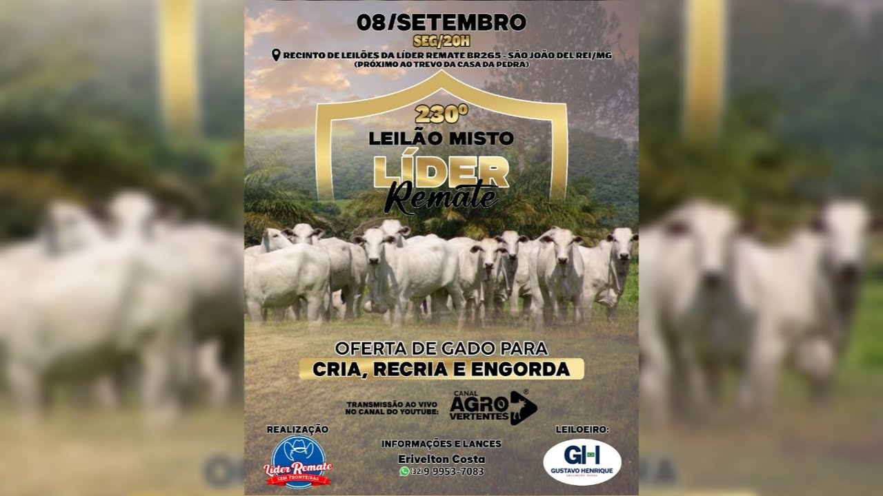 230º LEILÃO MISTO LÍDER REMATE - 08/09/2025