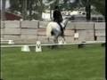 Piloto Do Top at Tulelake Test 3 - 2