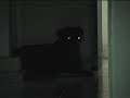 night serse