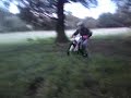 steve is flying nuts