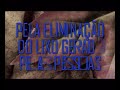 nenhuma descrição disponível
