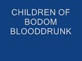 CHILDREN OF BODOM : BLOODDRUNK