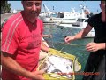 L'asta del pesce a Manfredonia
