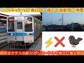 【怪我人が出たのがビックリ】東武10030系11632F 2026年4月16日春日部〜藤の牛島駅間の停電事故はカラスの巣が原因だった様で他でも起きないか心配