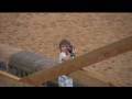 videos de Our night Sky.mov