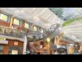Crucero Oasis of the Seas - Video promocional