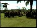 videos de NEGRAMENTA TOQUE TRES EQUINAS 4