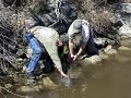 2008 Sturgeon Fishing Idaho with Dave Langston