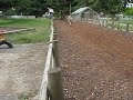 PB220002.AVI PB220002.AVI